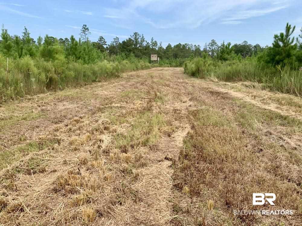 0 Country Road Mobile, AL 36608 - Photo 12 of 27
