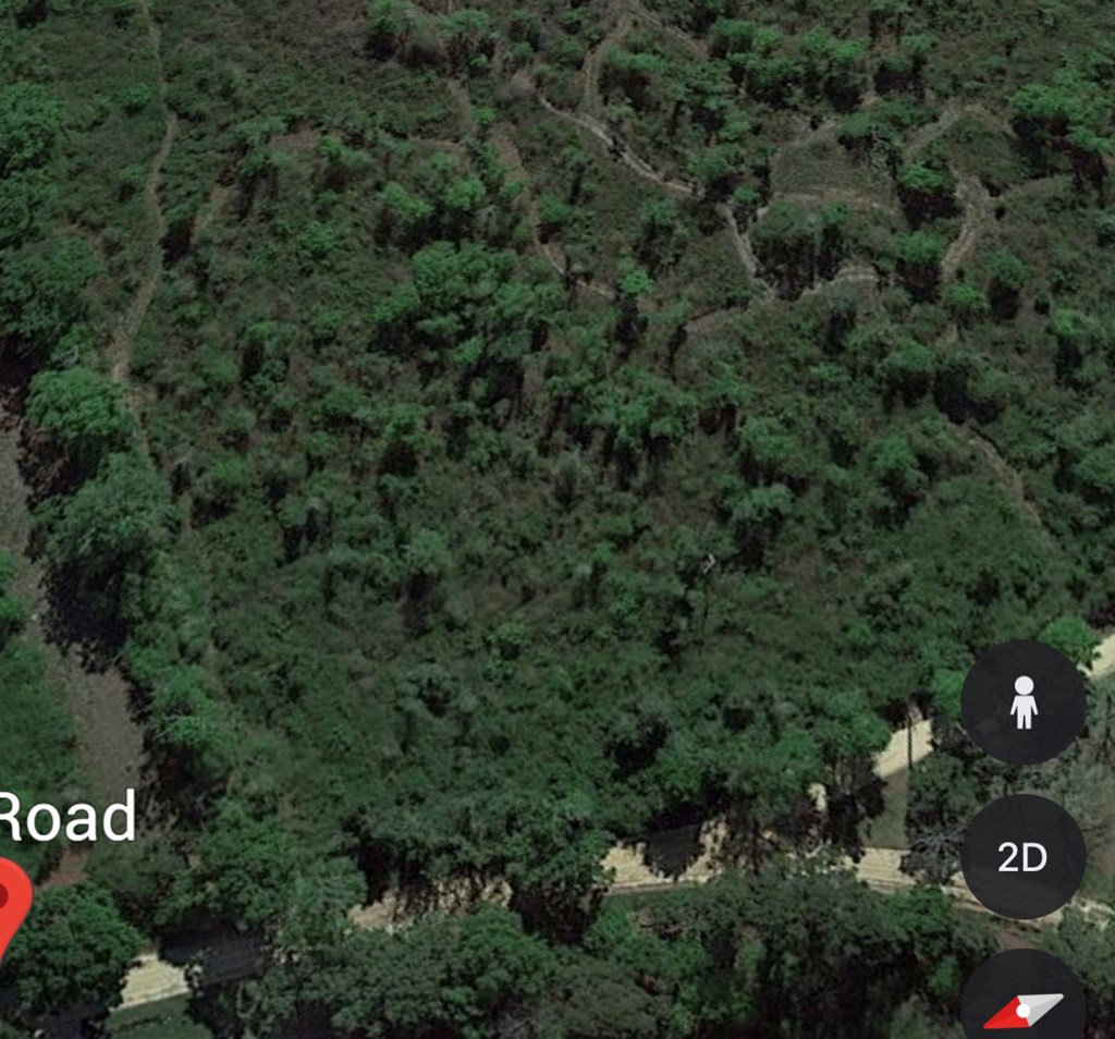 10.5-acres Box Road Midland City, AL 36350 - Photo 2 of 2