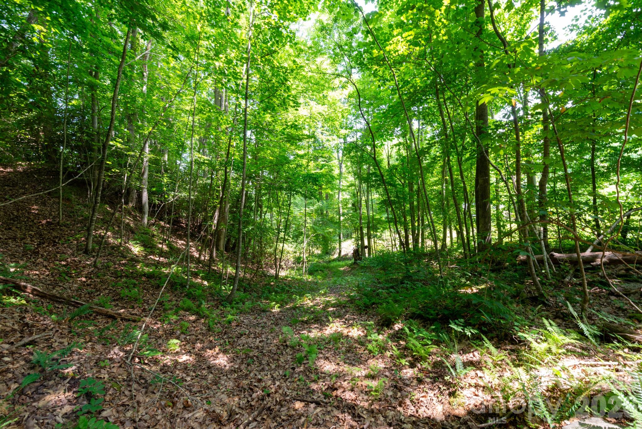 ### Board Tree Road, Unit 4 Marshall, NC 28753 - Photo 1 of 17 a view of backyard with green space
