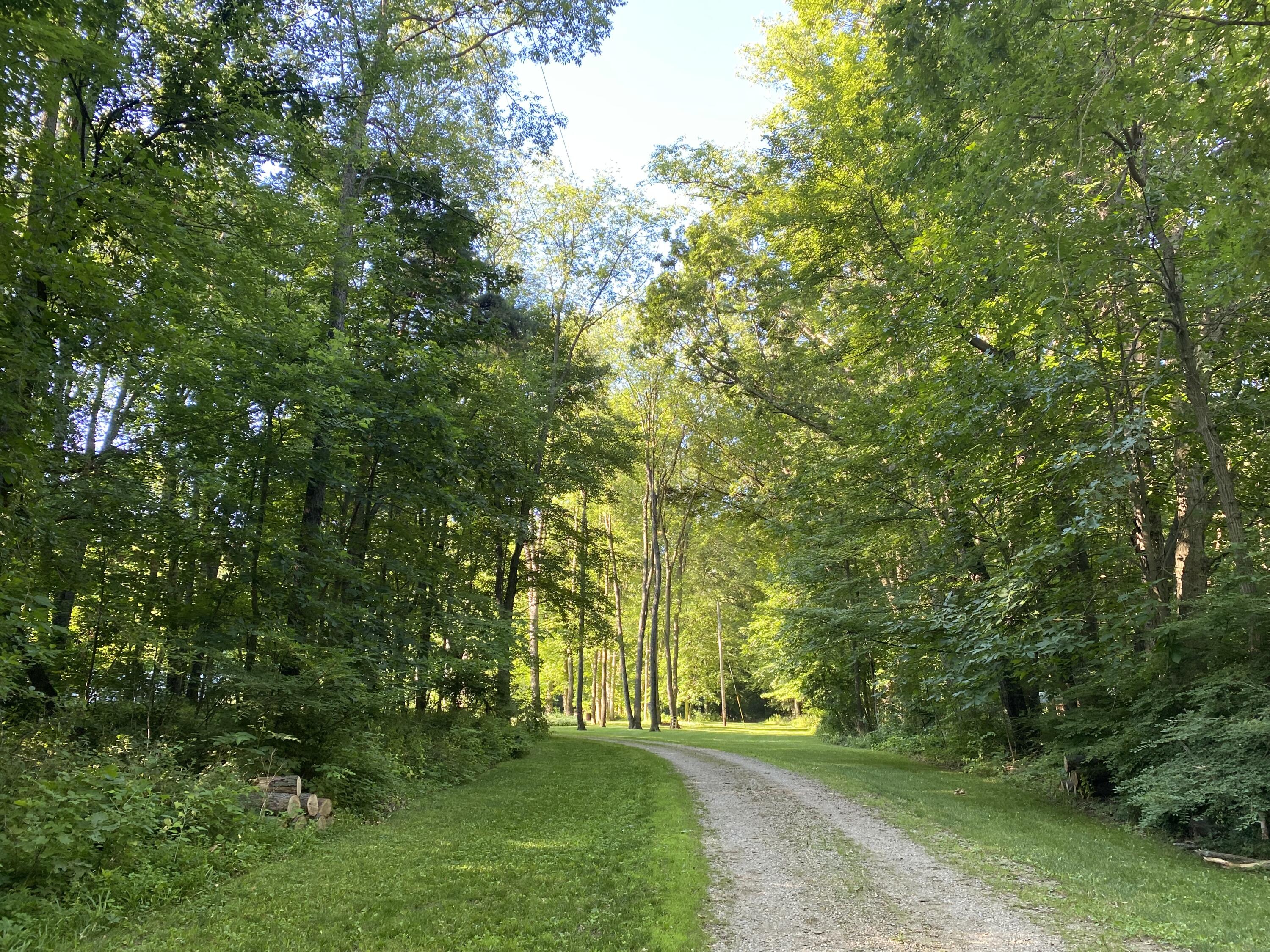 5247 Bean Road Allen, MI 49227 - Photo 12 of 17 IMG_9050