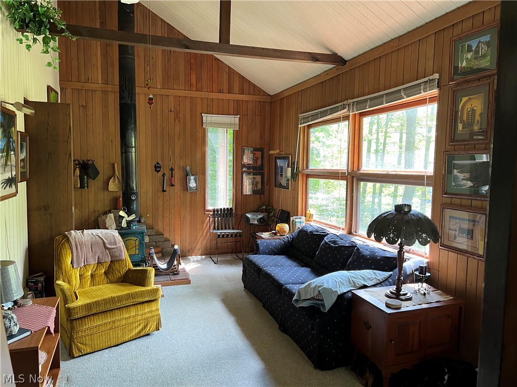 27730 Norris Road Tippecanoe, OH 44699 - Photo 6 of 19 Carpeted living room featuring wood walls, vaulted ceiling, and a wood stove