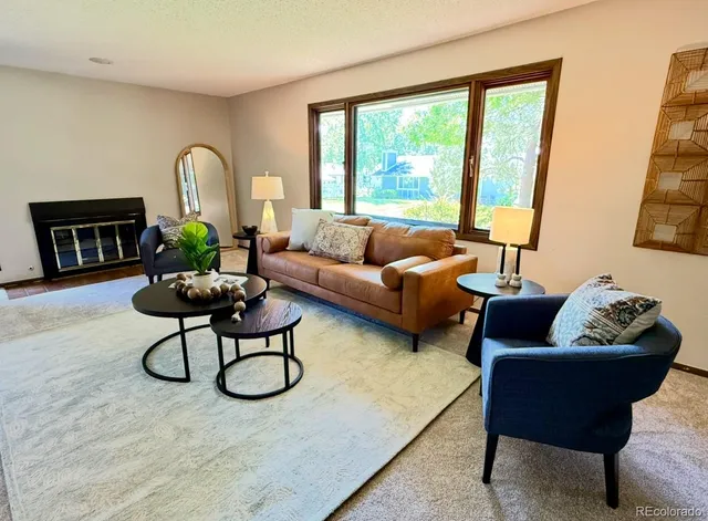 a living room with furniture a rug potted plant and a large window