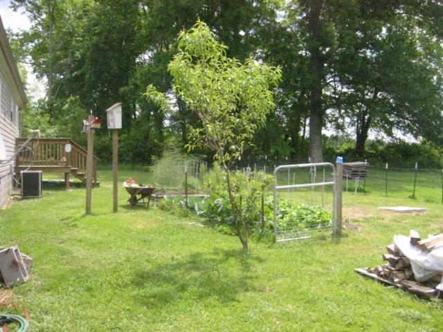 1157 Summitville Road Manchester, TN 37355 - Photo 14 of 20