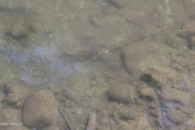 $515,000 | 0 West Ash Creek Road, Globe, AZ 85501