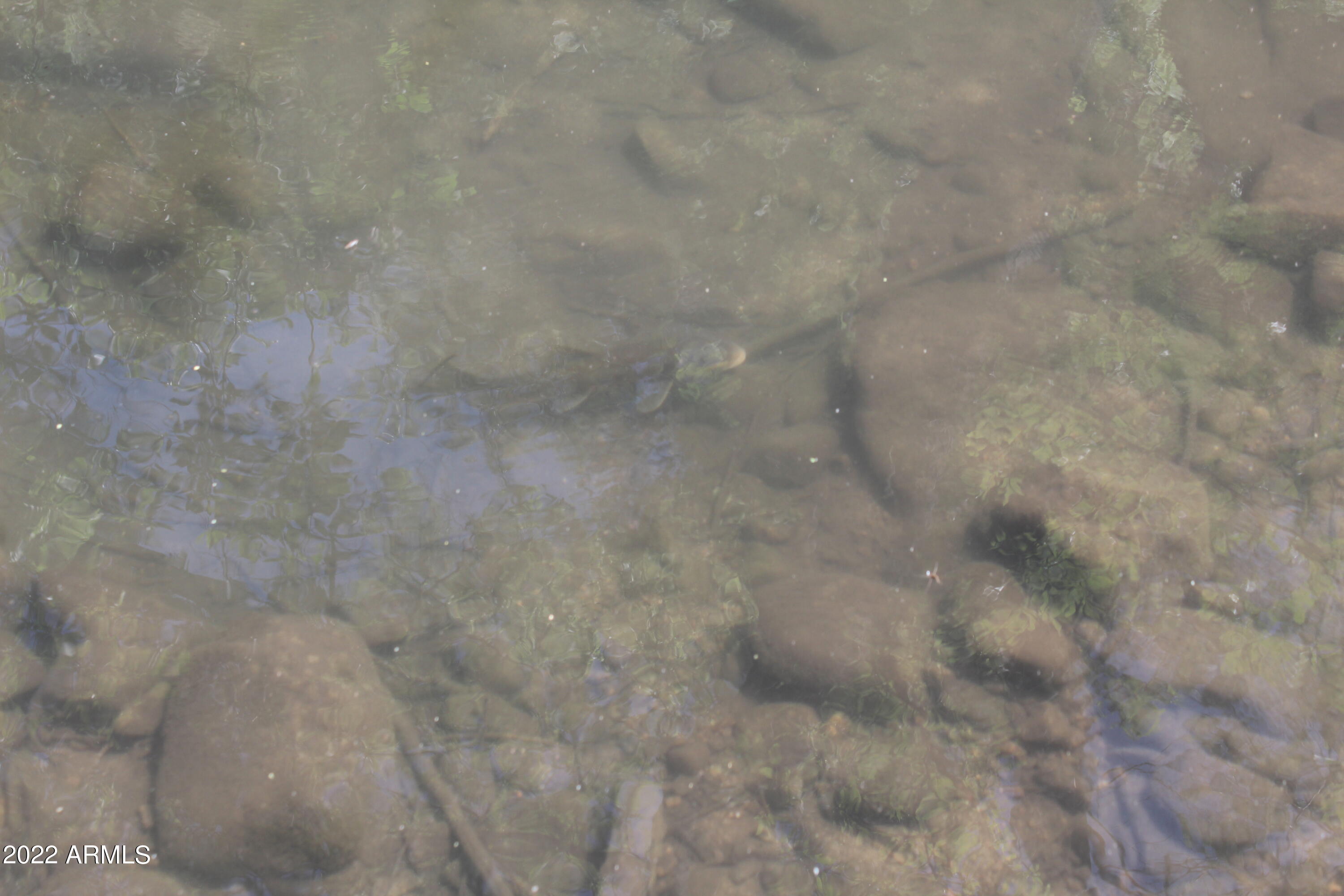 0 West Ash Creek Road Globe, AZ 85501 - Photo 27 of 91 IMG_4961