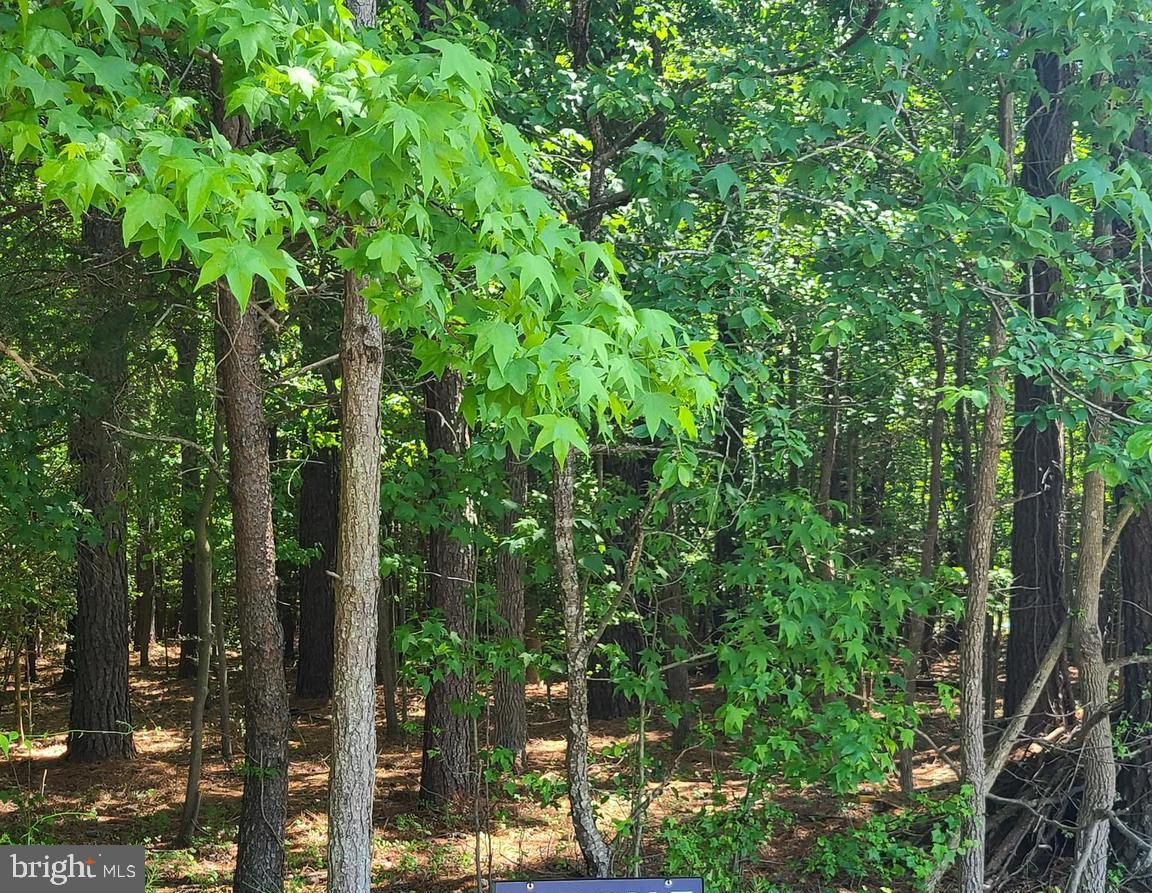 Rock Point Road Newburg, MD 20664 - Photo 1 of 1 Gallery Image 1