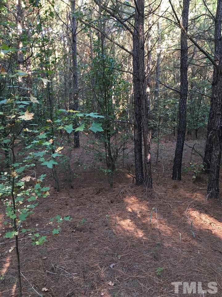 3925 Zebulon Road Zebulon, NC 27597 - Photo 3 of 5