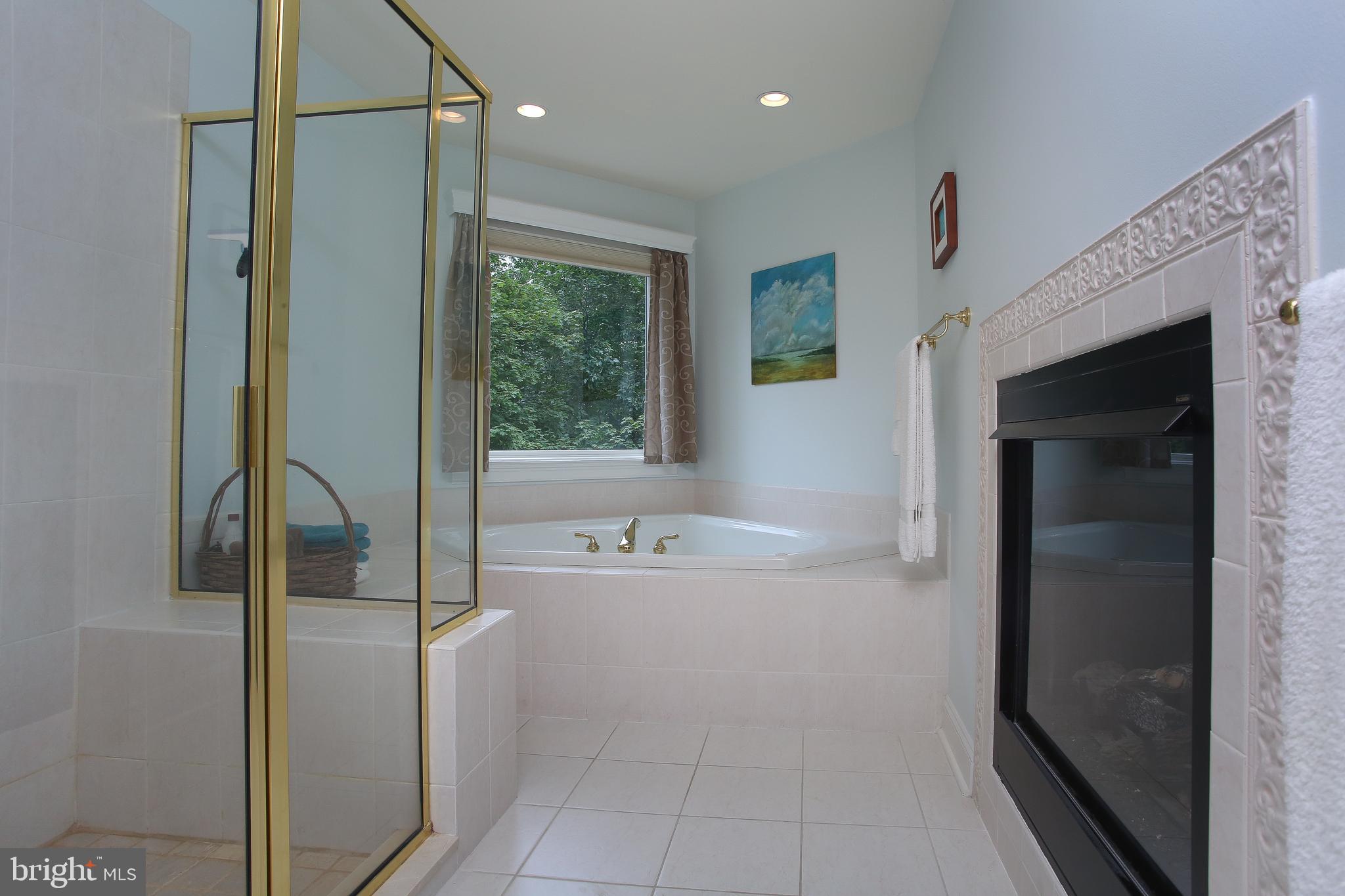 5686 Ridgeview Drive Doylestown, PA 18902 - Photo 24 of 53 Master Bath with Fireplace