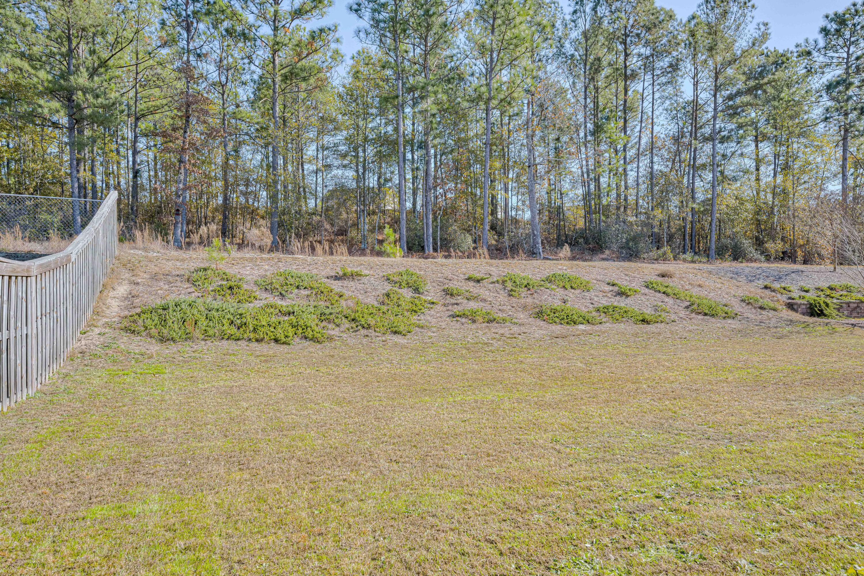 6073 Rye Field Road Aiken, SC 29801 - Photo 46 of 47 43-043-