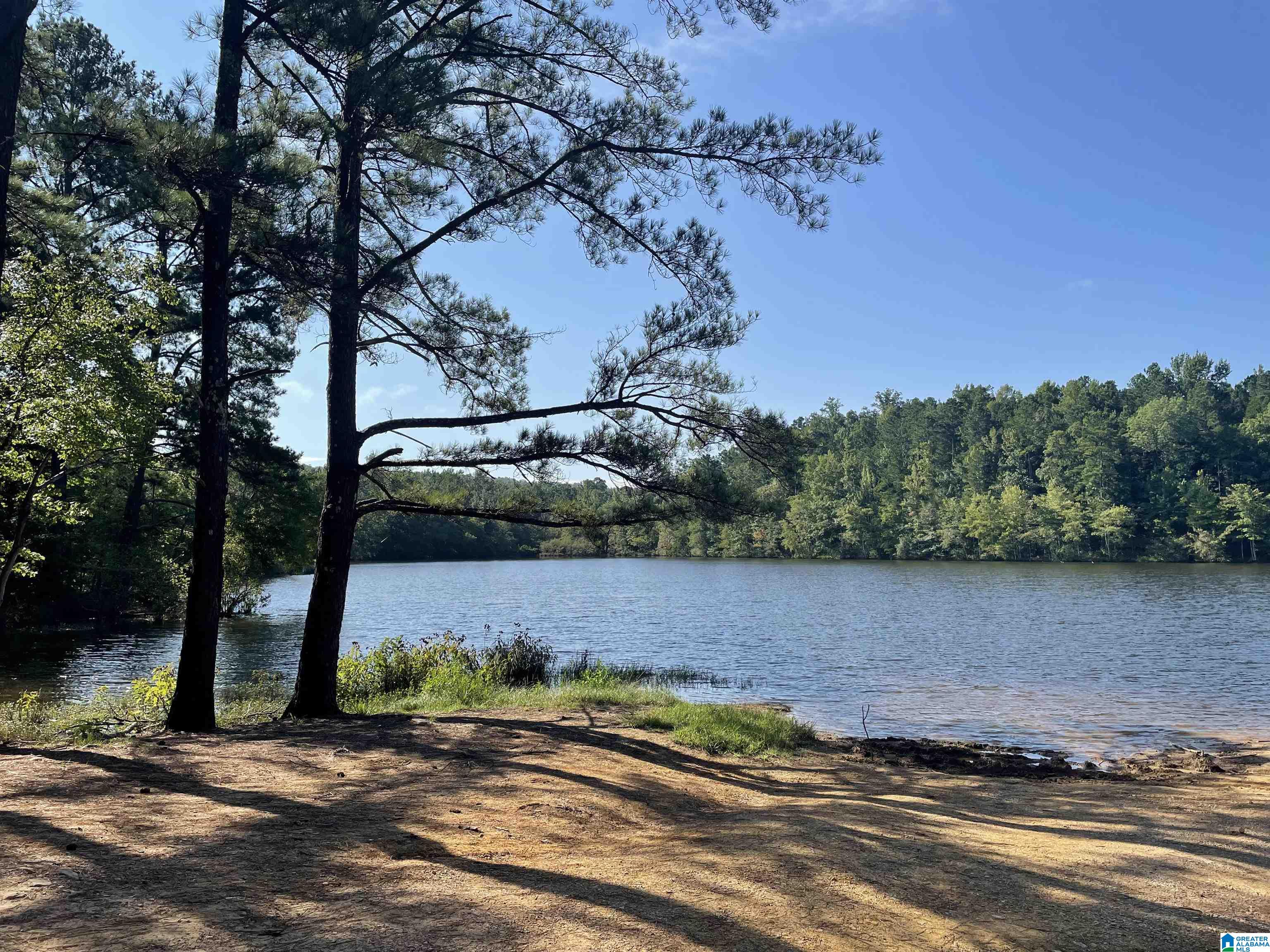 8760 Marsh Mountain Road, Unit 223 Pinson, AL 35126 - Photo 16 of 51
