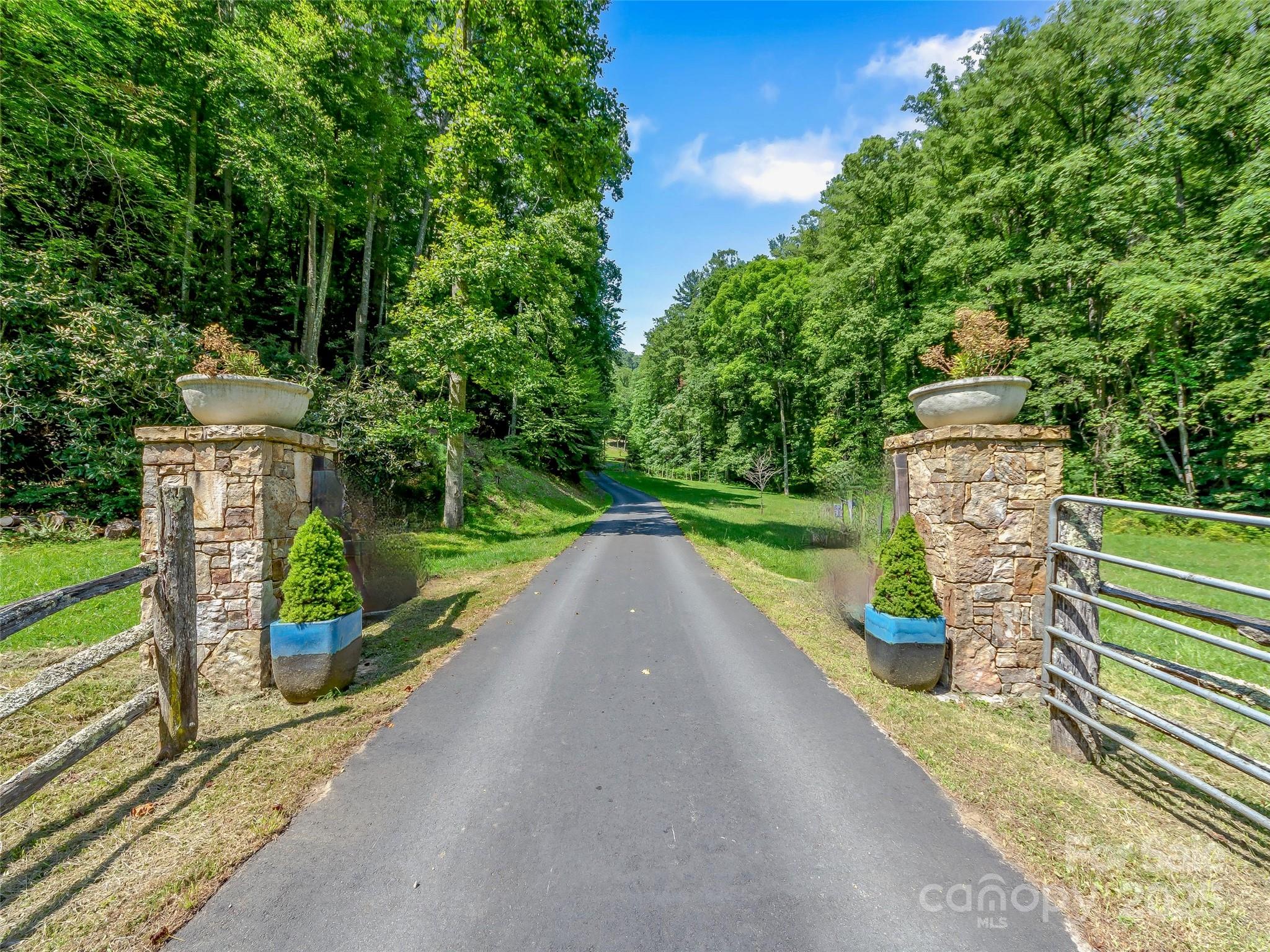 384 Doan Town Road Burnsville, NC 28714 - Photo 4 of 44 a view of a park with large trees
