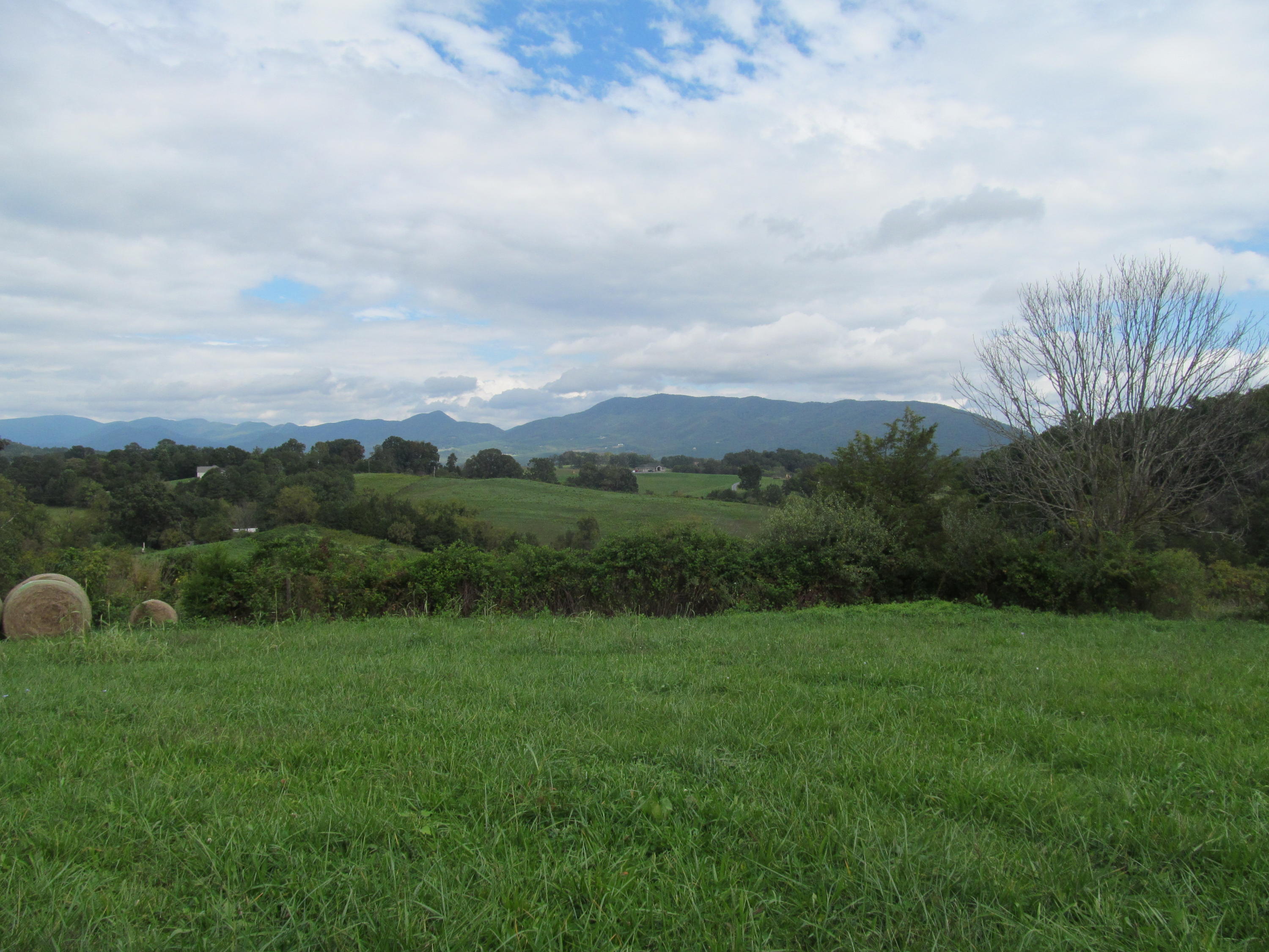 1827 Prease Road Buchanan, VA 24066 - Photo 1 of 5 Listing