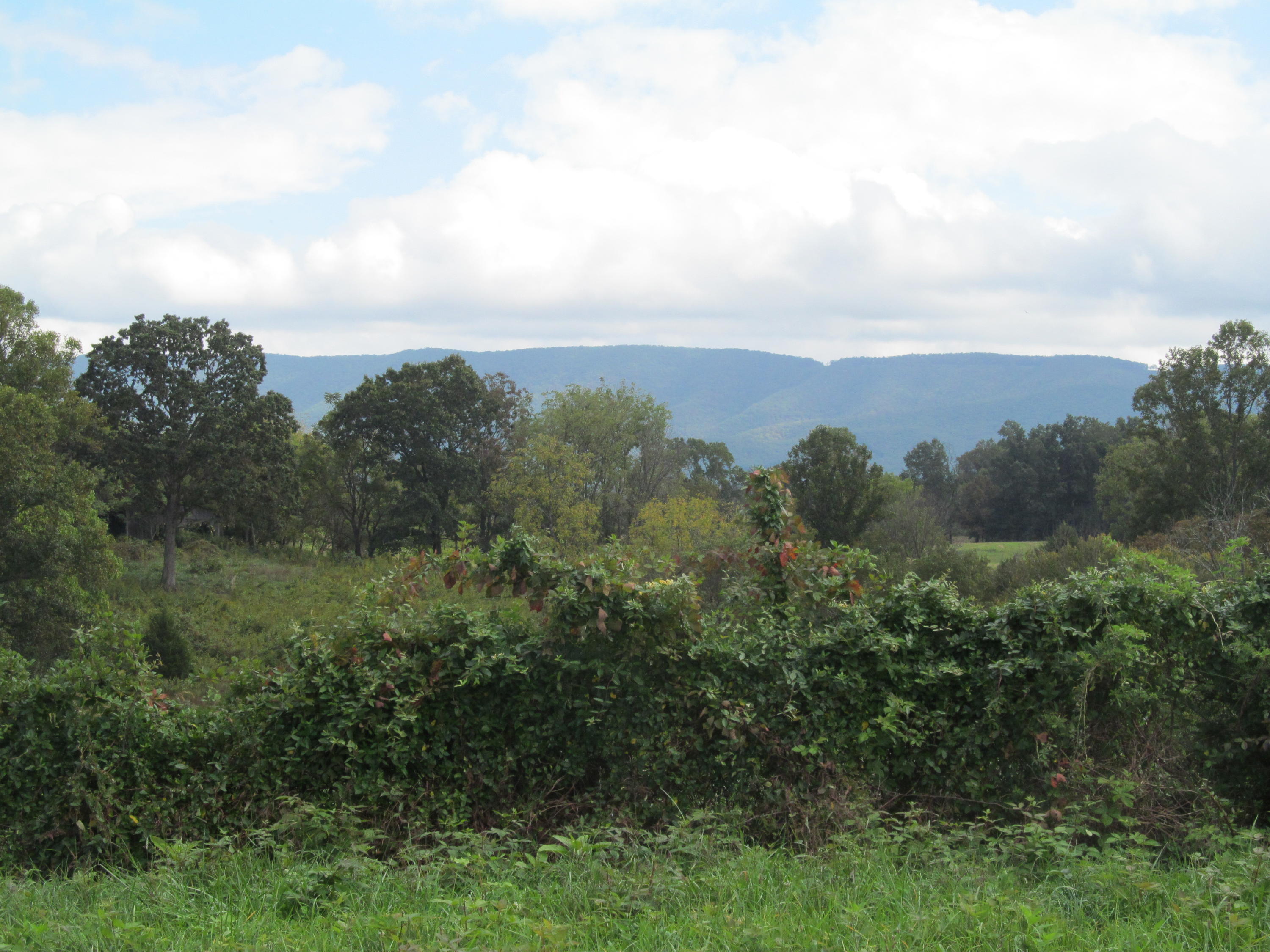 1827 Prease Road Buchanan, VA 24066 - Photo 2 of 5 IMG_5193