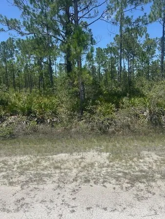 $12,500 | 1018 Calendula Drive, Indian Lake Estates, FL 33843