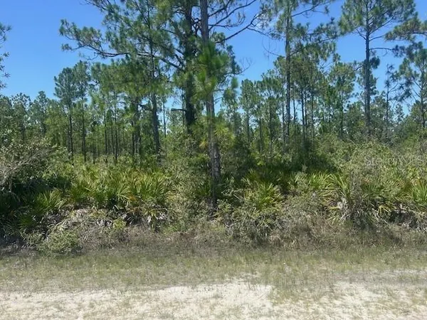 $12,500 | 1018 Calendula Drive, Indian Lake Estates, FL 33843