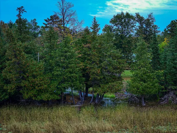 $671,000 | 38700 Osprey Trail, Laporte, MN 56461