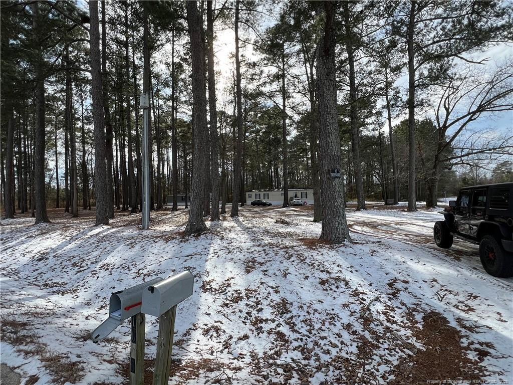 1002-1006 Old Baker Road Maxton, NC 28364 - Photo 2 of 14 Photo 2