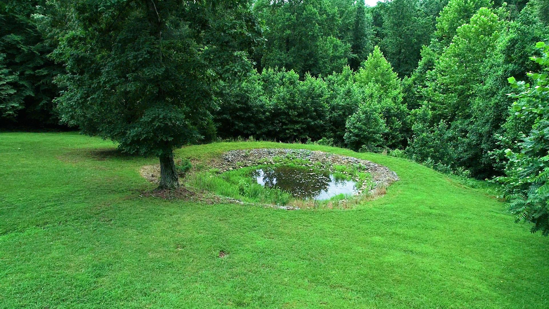 3676 Reed Road Indian Mound, TN 37079 - Photo 4 of 30 Gallery Image 4