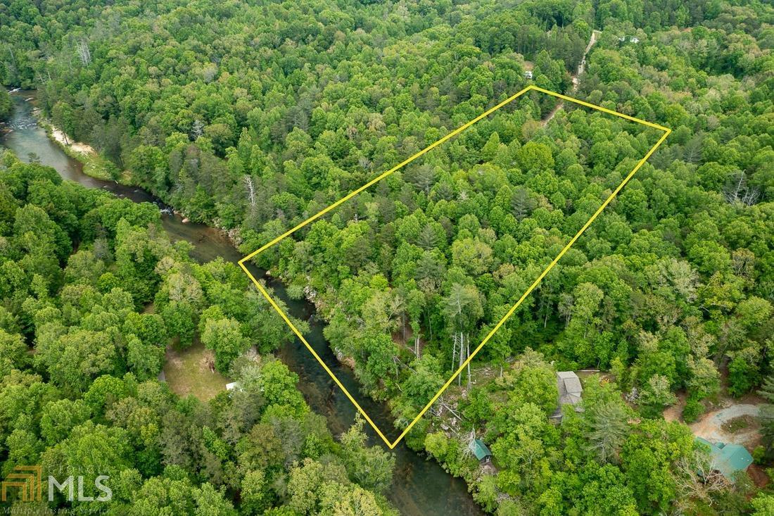 355 Chuckwagon Road Demorest, GA 30535 - Photo 1 of 1 a view of a lush green forest with a plant