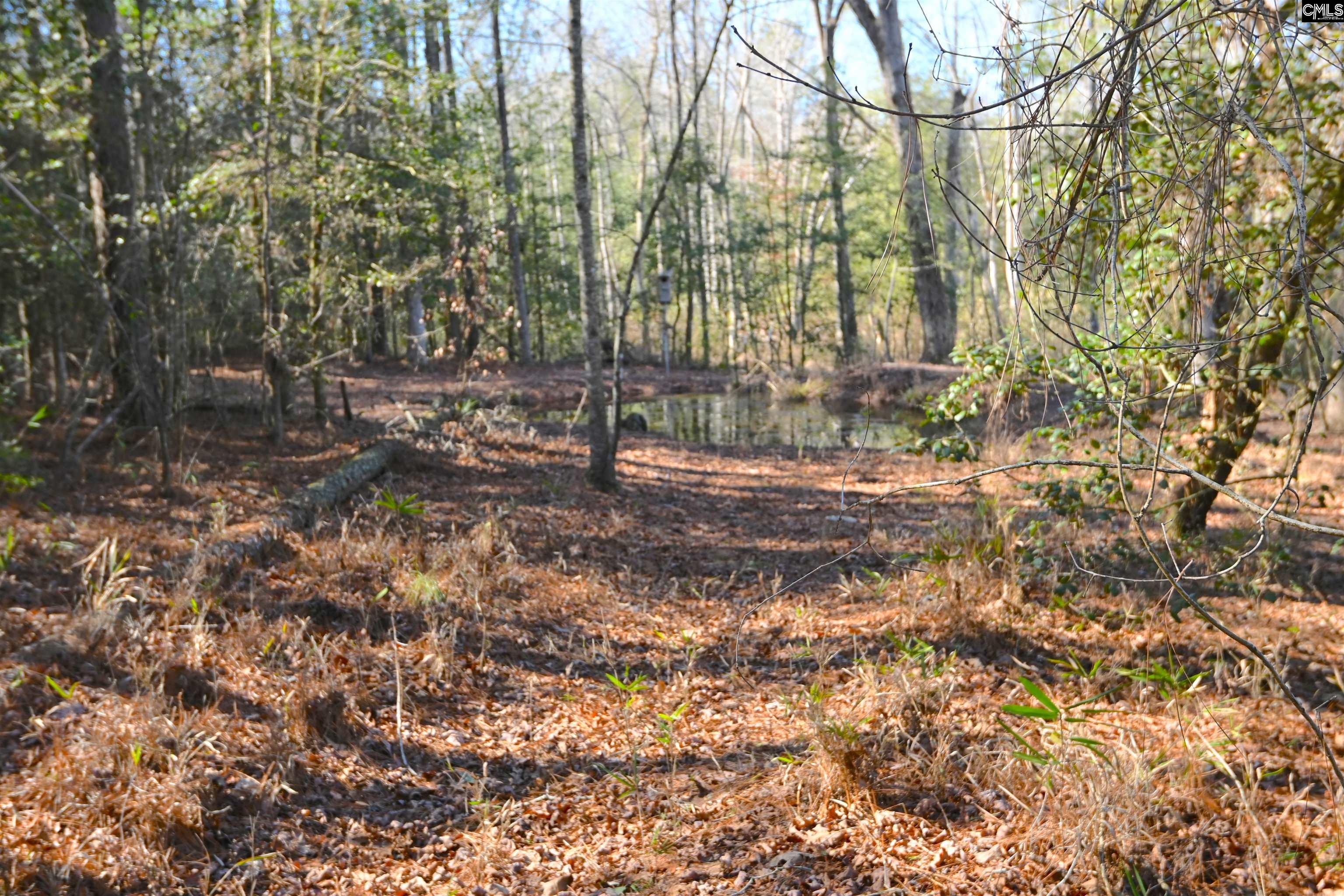 707 Mt Ebal Road Batesburg, SC 29006 - Photo 9 of 48