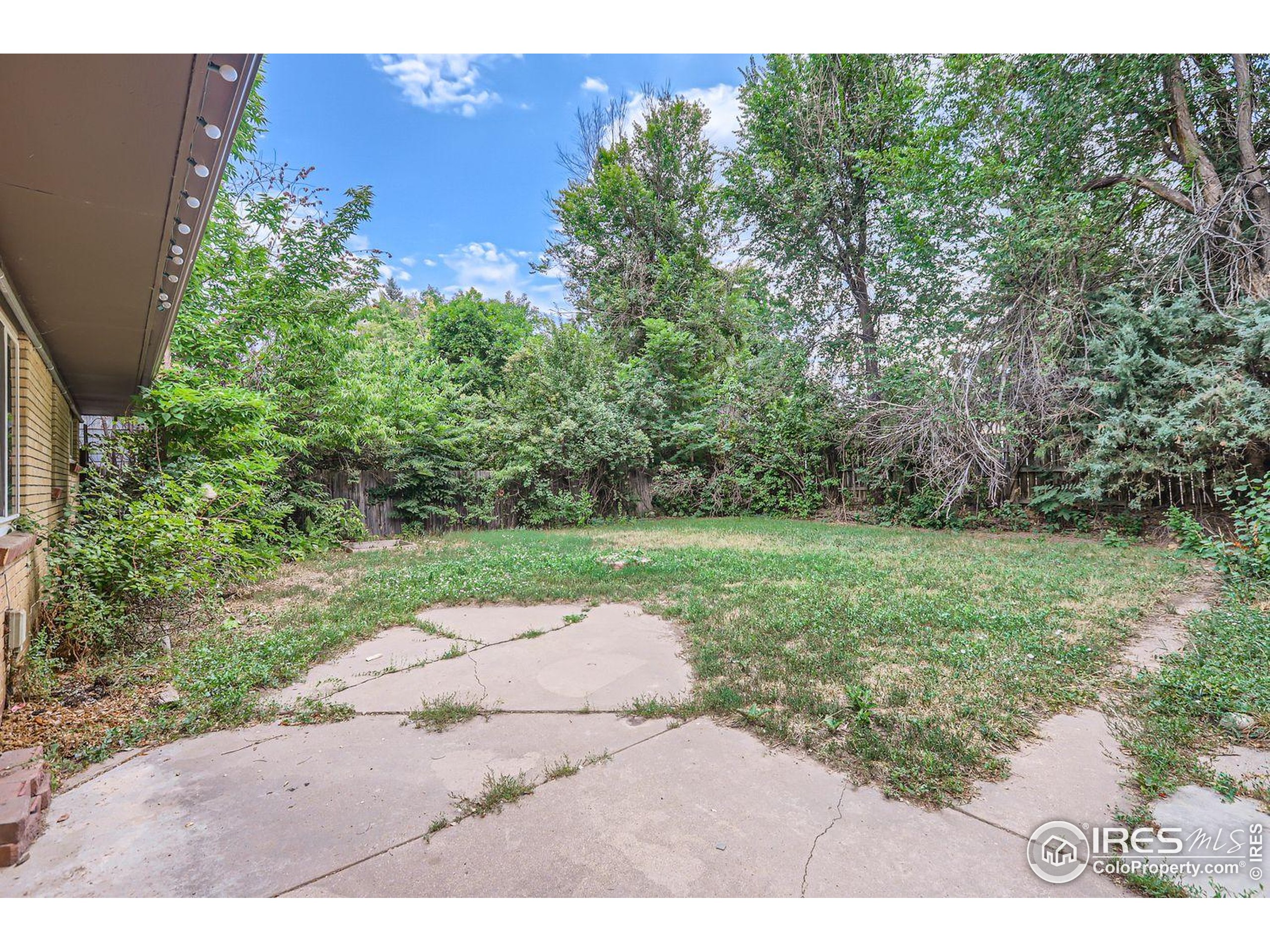 1517 Crestmore Place Fort Collins, CO 80521 - Photo 24 of 28 a view of a yard with plants and a bench