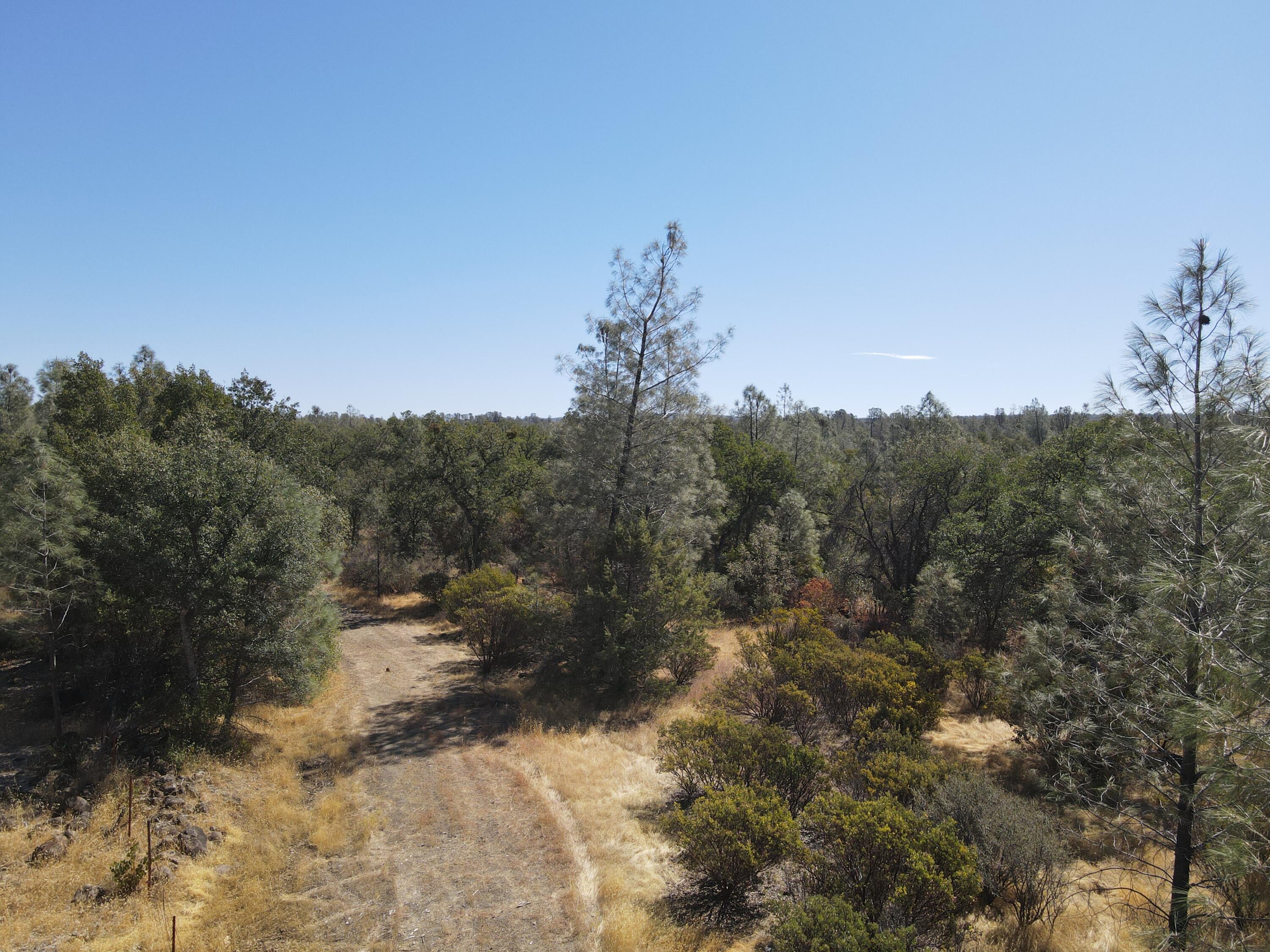 Nsa Dersch Road Shingletown, CA 96088 - Photo 38 of 56 DJI_0640