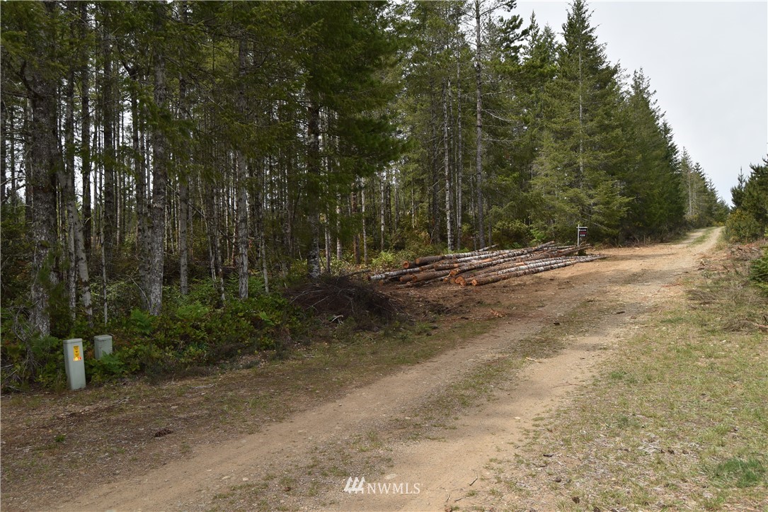 0 Gault Road Union, WA 98592 - Photo 1 of 8 Gallery Image 1