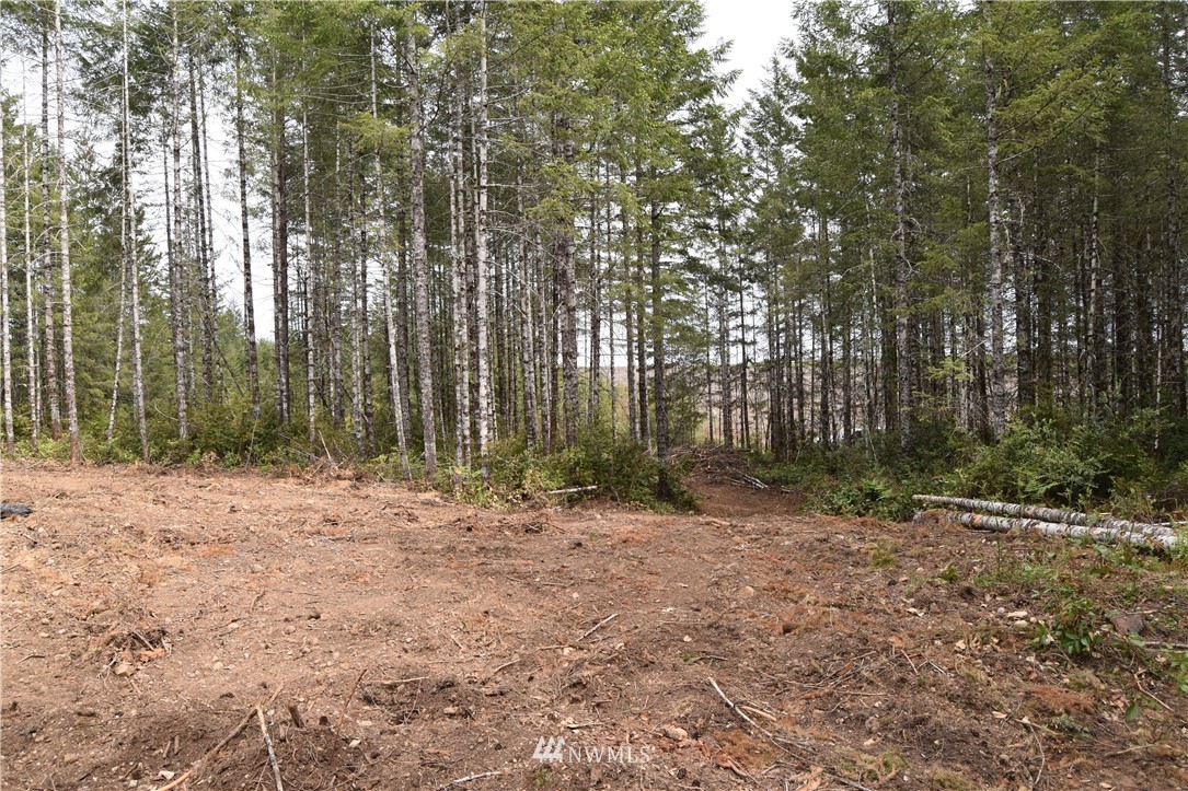 0 Gault Road Union, WA 98592 - Photo 2 of 8 Gallery Image 2