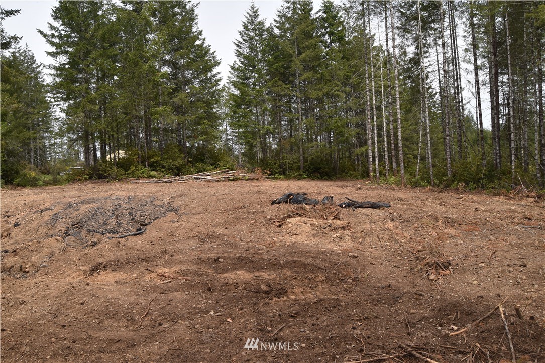 0 Gault Road Union, WA 98592 - Photo 3 of 8 Gallery Image 3