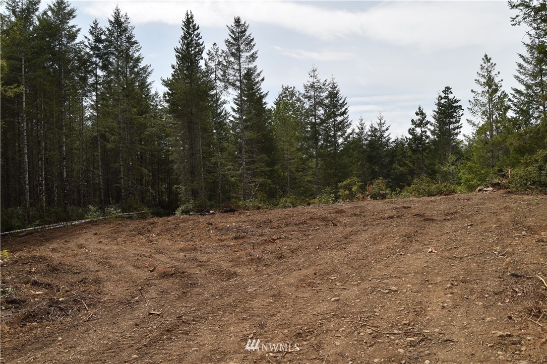 0 Gault Road Union, WA 98592 - Photo 5 of 8 Gallery Image 5