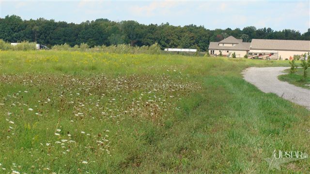 8419 Rothman Road Fort Wayne, IN 46835 - Photo 3 of 7