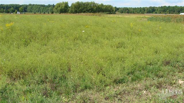 8419 Rothman Road Fort Wayne, IN 46835 - Photo 7 of 7