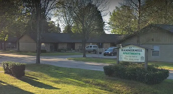 a view of a park that has a tree