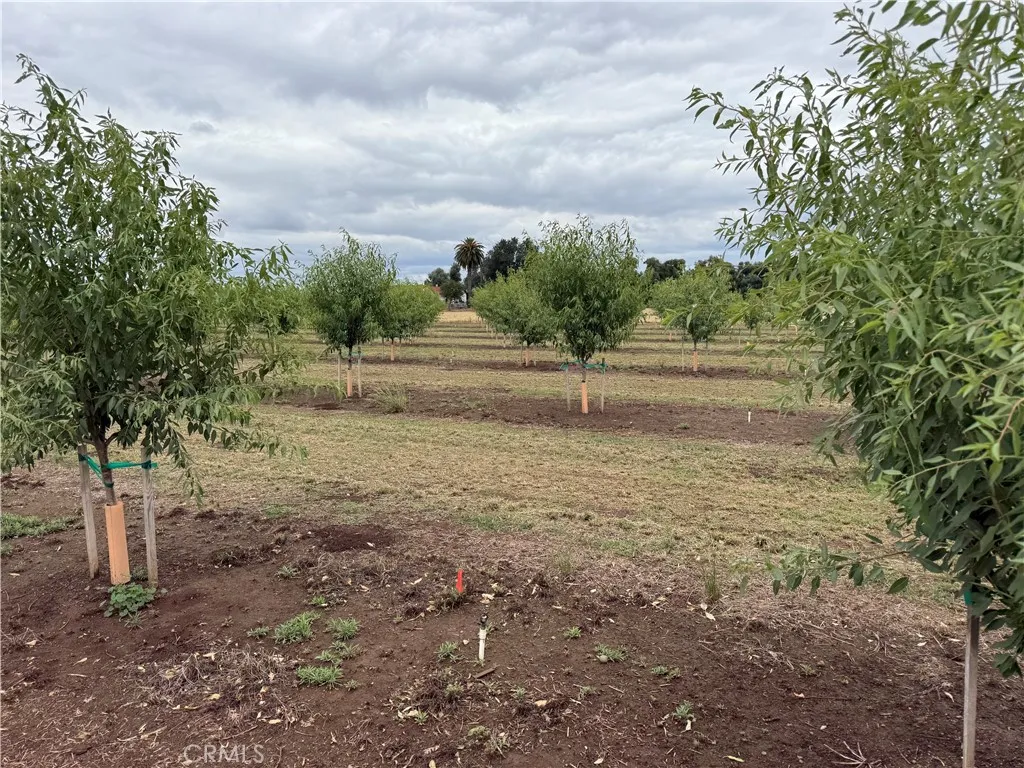 0 Hegan Chico, CA 95928 - Photo 3 of 4