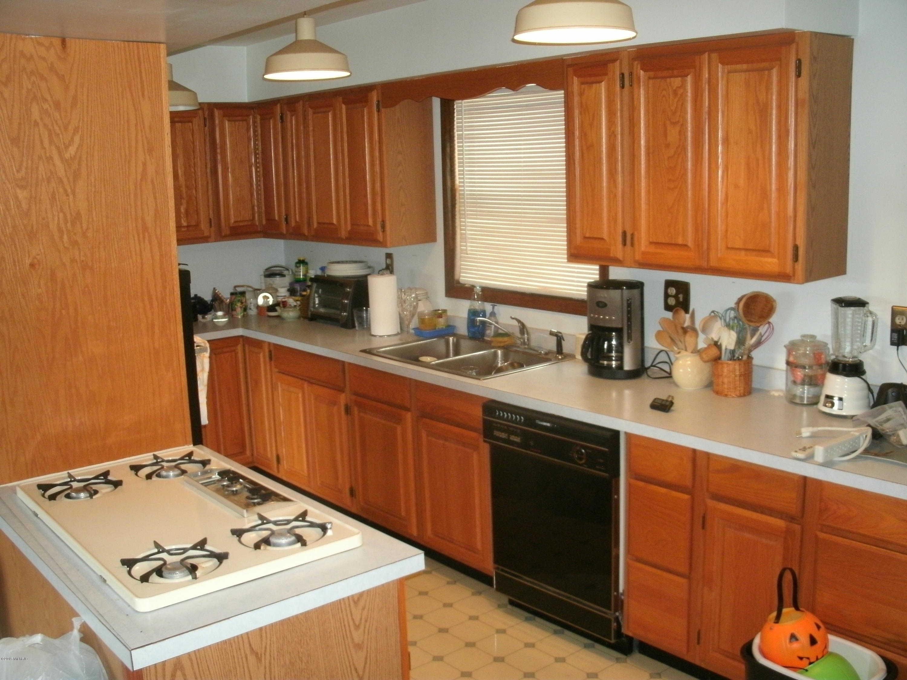 4443 Howard City Edmore Road Edmore, MI 48829 - Photo 3 of 13 GEDC1238