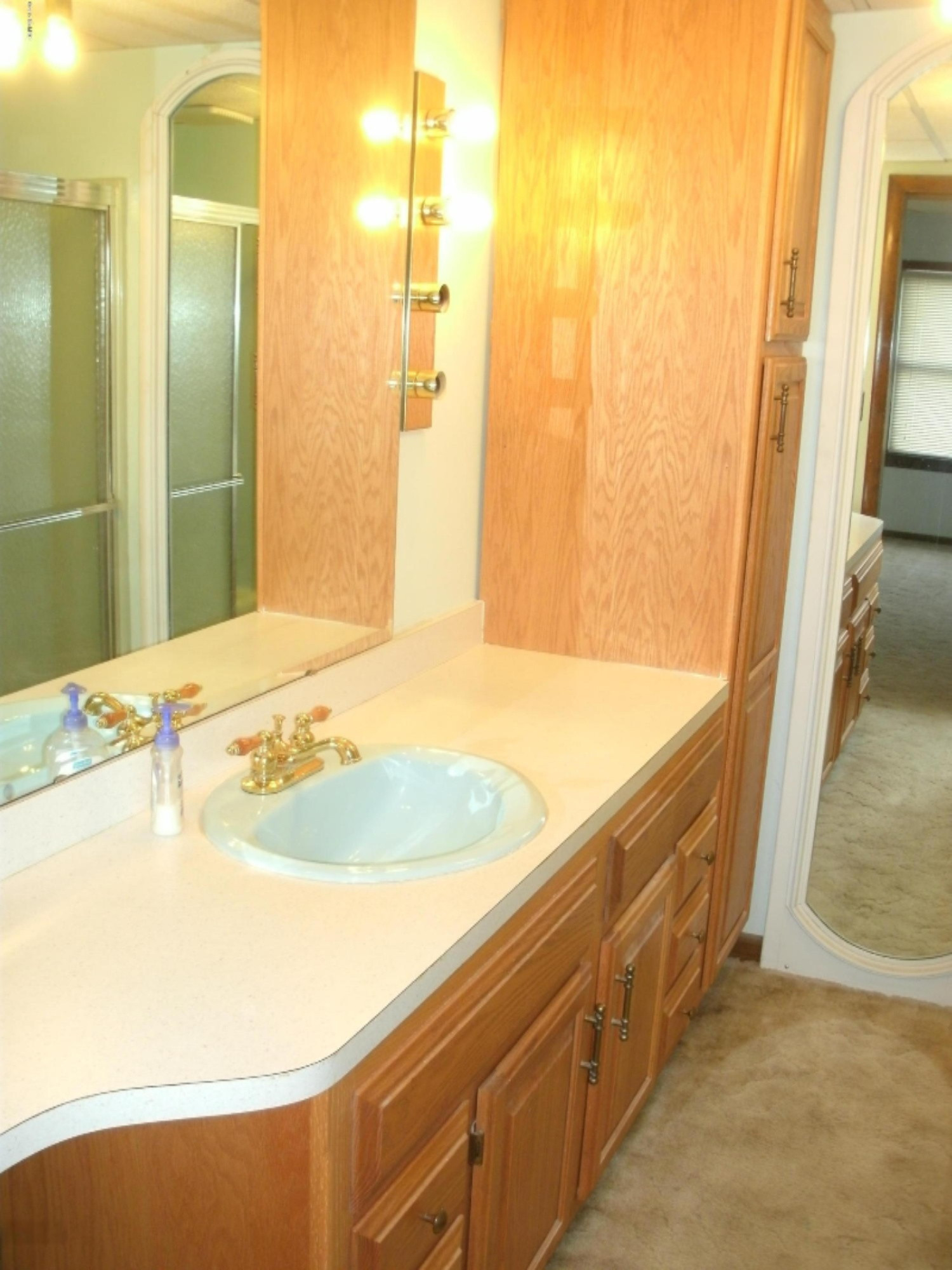 4443 Howard City Edmore Road Edmore, MI 48829 - Photo 5 of 13 GEDC1245