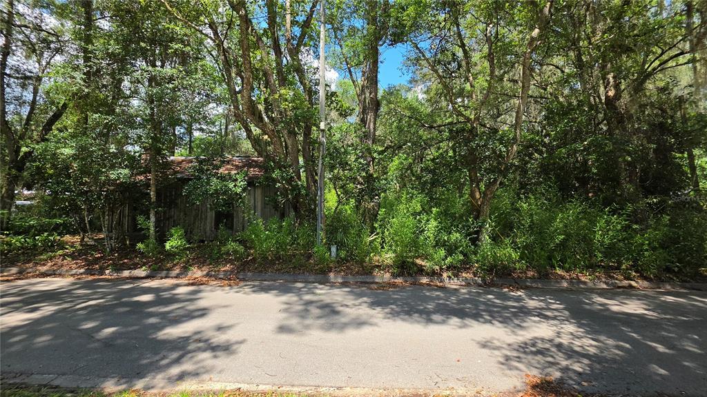 304 Northwest 5 Street Micanopy, FL 32667 - Photo 8 of 17