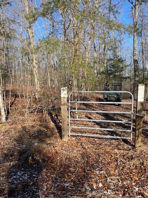 142 Cole Road Deer Lodge, TN 37726 - Photo 71 of 77 20220322195802847473000000-o