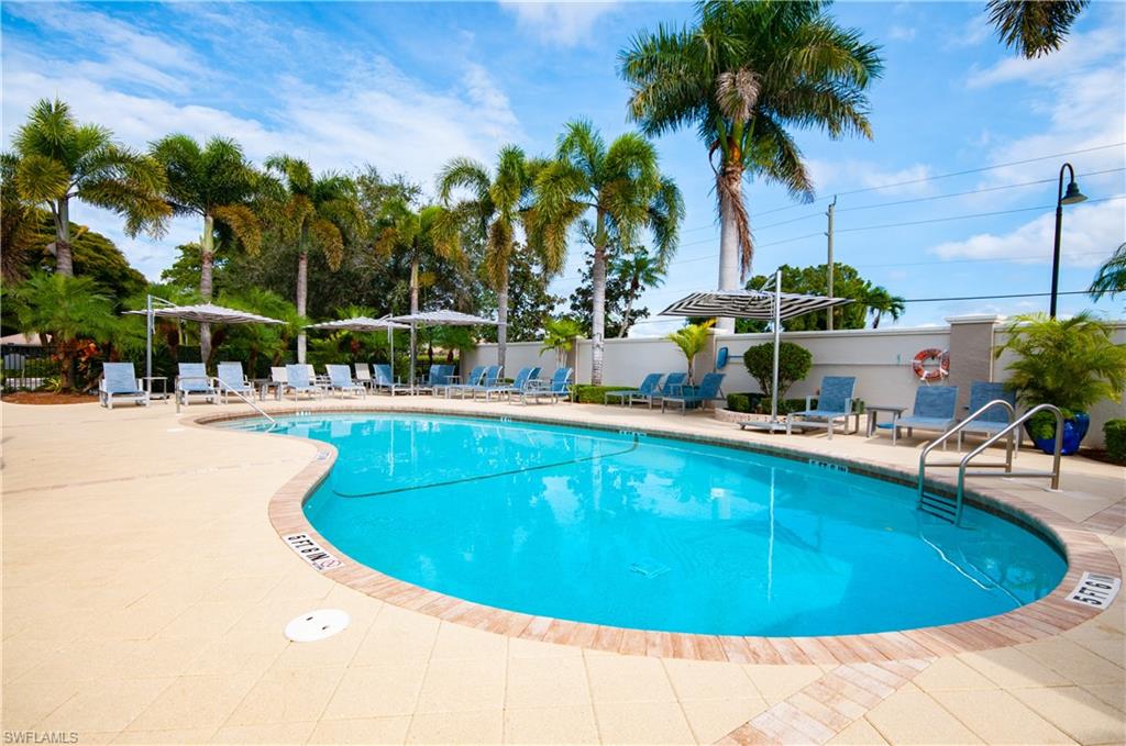 10020 Heather Lane, Unit 901 Naples, FL 34119 - Photo 25 of 34 a view of a swimming pool with a lawn chairs under palm trees