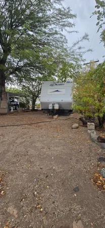 a view of a patio with table and chairs potted plants and large tree