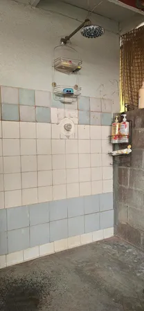 a view of a dry yard