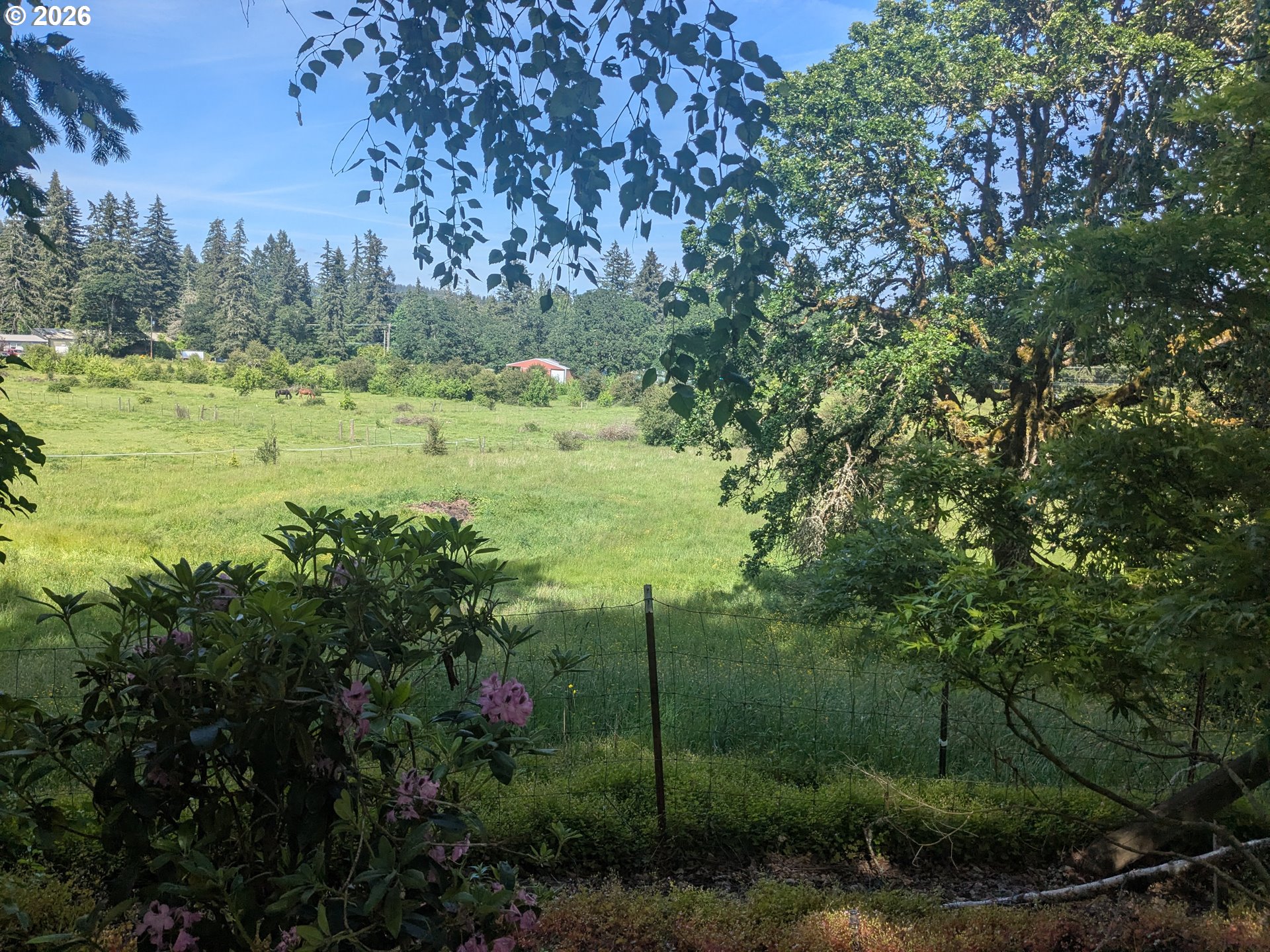 15341 South Hattan Road Oregon City, OR 97045 - Photo 36 of 41 Pasture