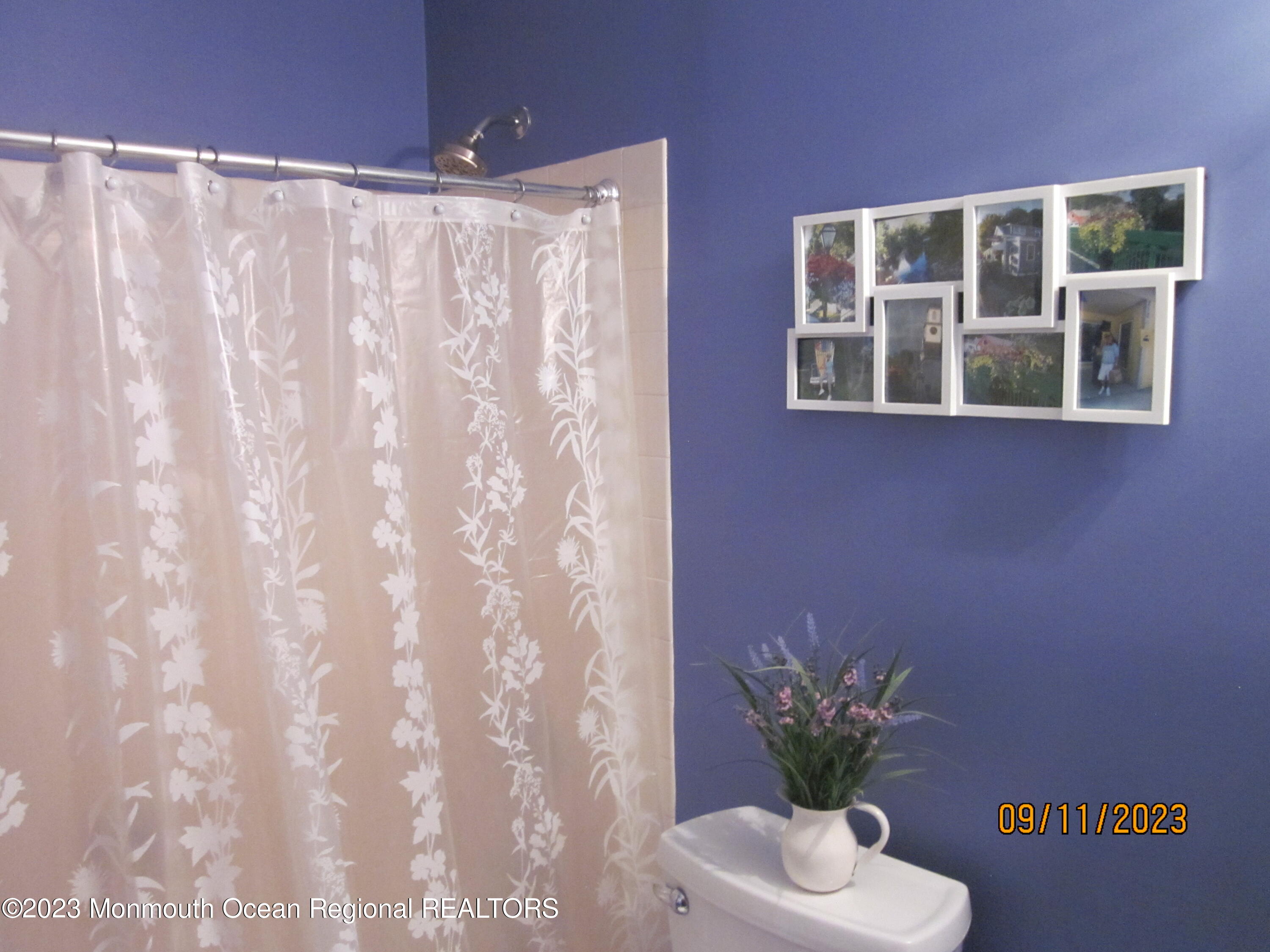 53 B Berkshire Road Whiting, NJ 08759 - Photo 31 of 37 a view of a potted plant sitting in front of a bathroom