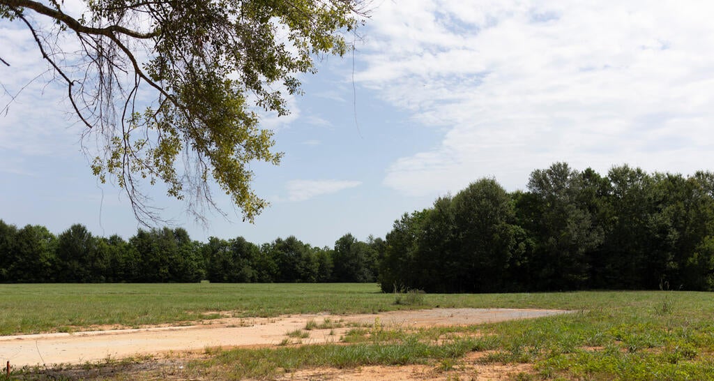 Lot 12 Cooper Road Carriere, MS 39426 - Photo 2 of 4 Gallery Image 2