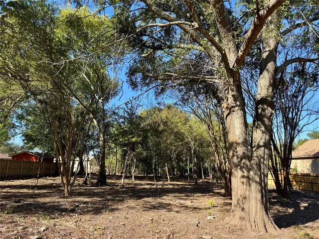 a view of outdoor space with deck and trees