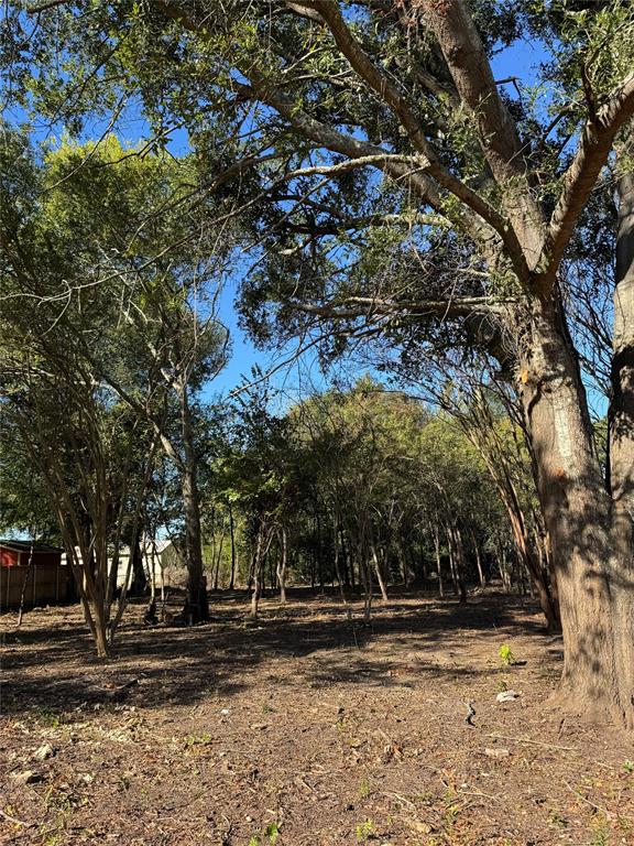178 Patton Lane Tyler, TX 75704 - Photo 2 of 8 a view of a yard with plants and trees
