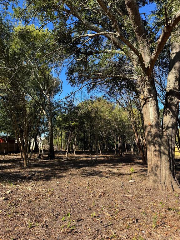 178 Patton Lane Tyler, TX 75704 - Photo 8 of 8 a view of park space