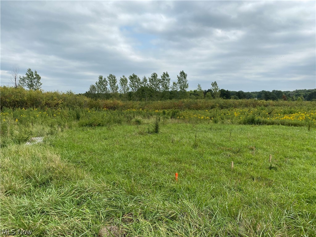 5340 River Road Madison, OH 44057 - Photo 3 of 10