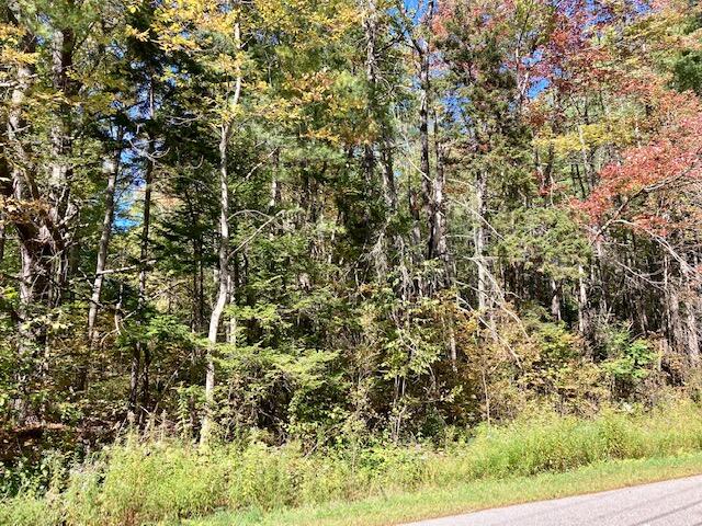 M3-l28-a Savery Road Searsport, ME 04974 - Photo 2 of 4 Savery Road Lot