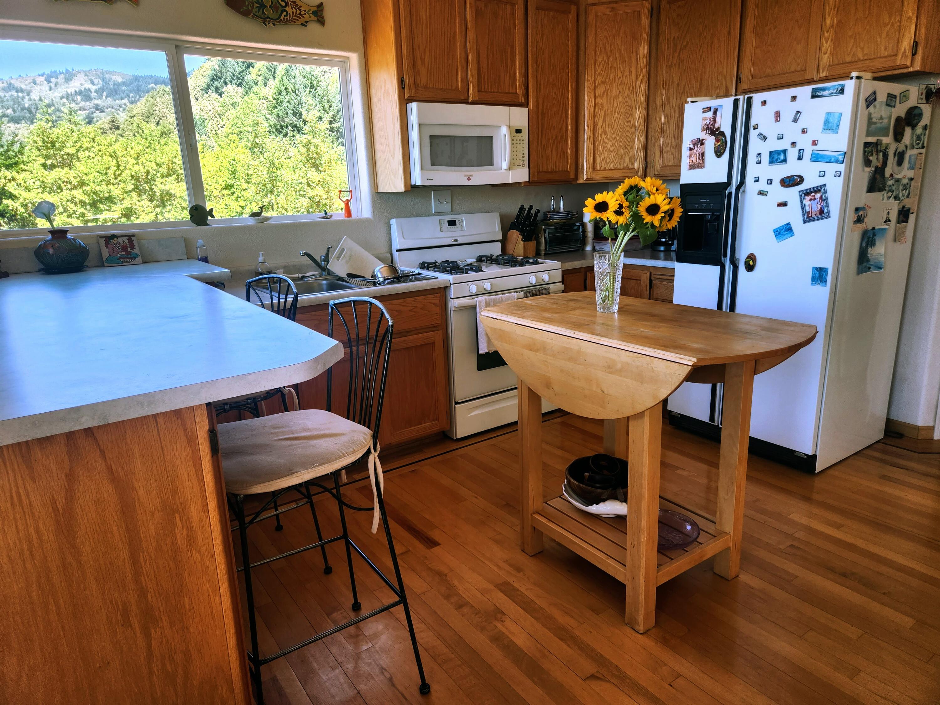 10 Telegraph Creek Road Whitethorn, CA 95589 - Photo 11 of 59